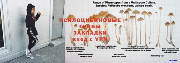 кокаин колумбия Баксан