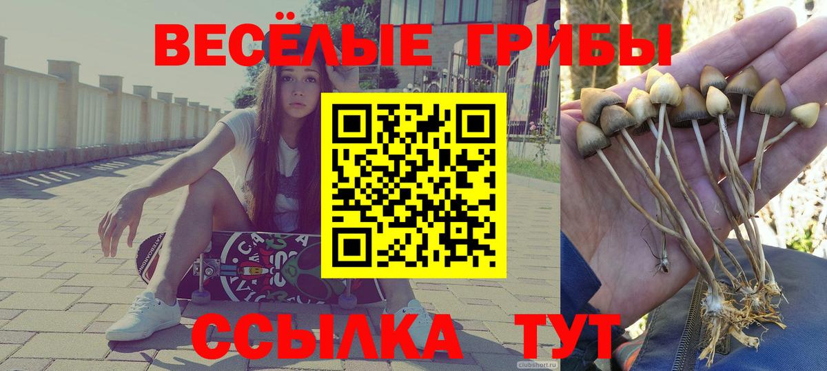 Коммунар  Псилоцибиновые грибы мицелий  Вход с VPN 