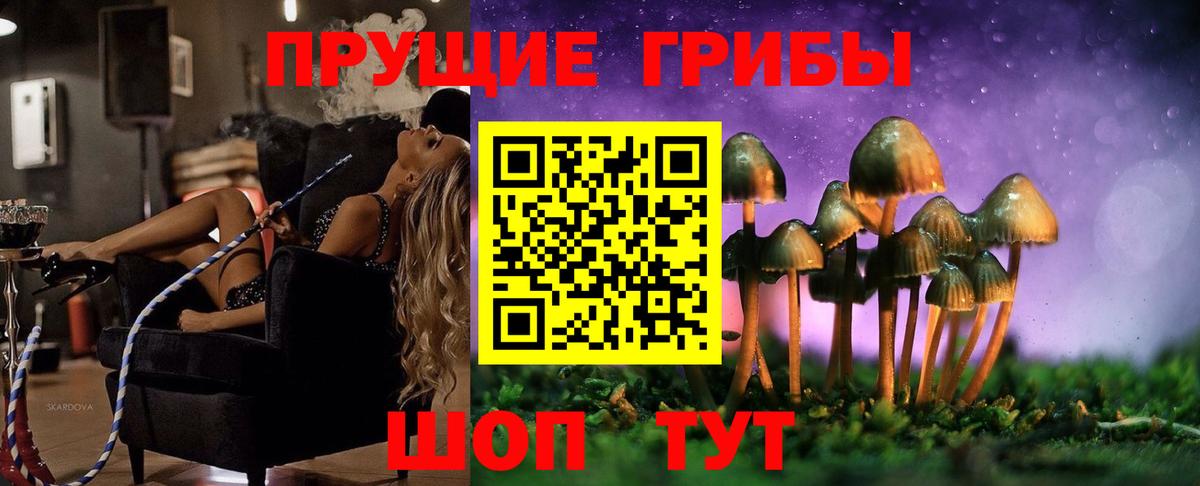 Псилоцибиновые грибы Cubensis Коммунар